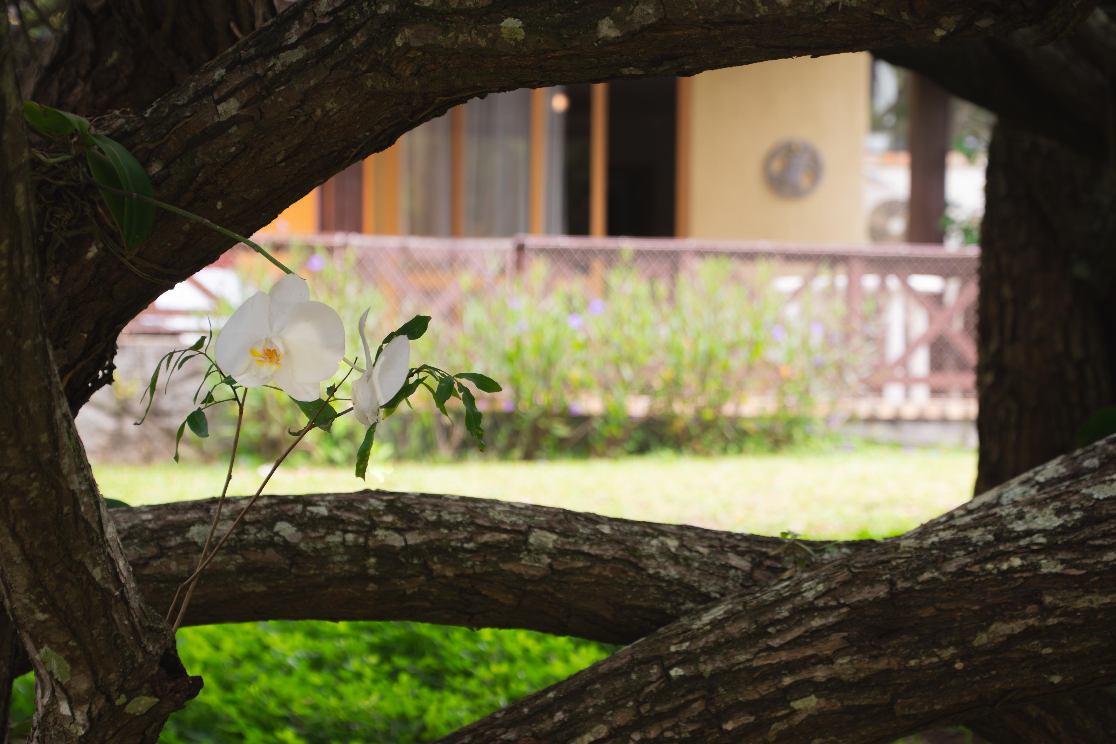 Package image 1